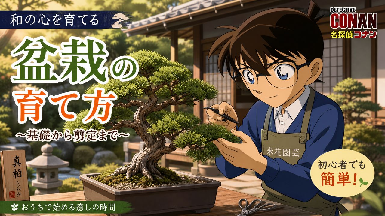探花探花-盆栽探花教程 | 从入门到精通完整视频演示